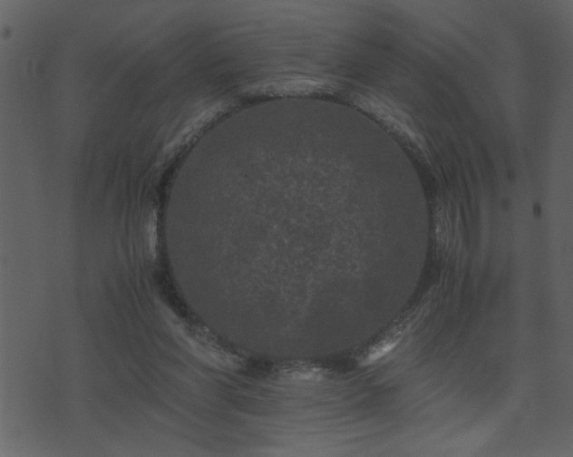 X0000071760206200606301138