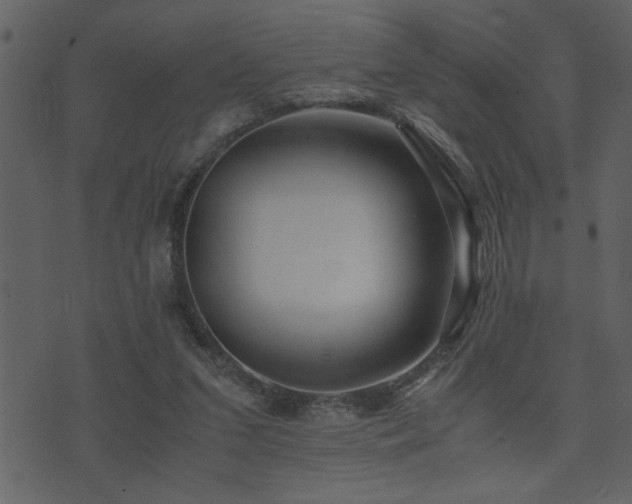 X0000071760207200606301138