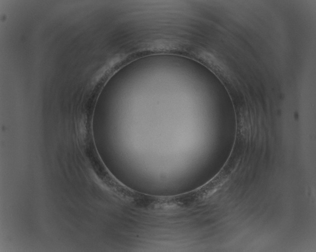 X0000071760208200606301138