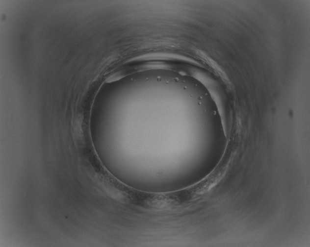 X0000071760209200606301138