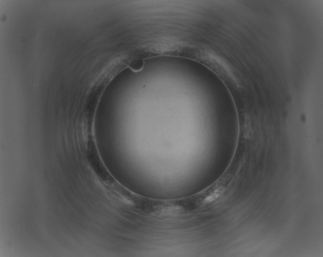 X0000071760210200606301138