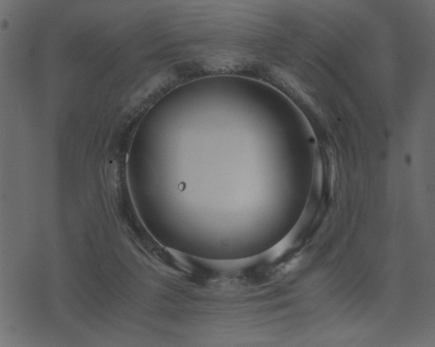 X0000071760211200606301138