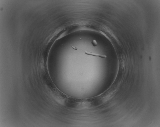 X0000071760212200606301138