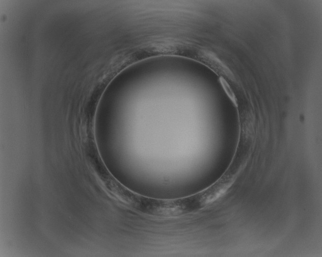 X0000071760213200606301138