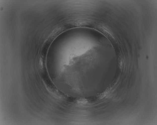 X0000071760214200606301138