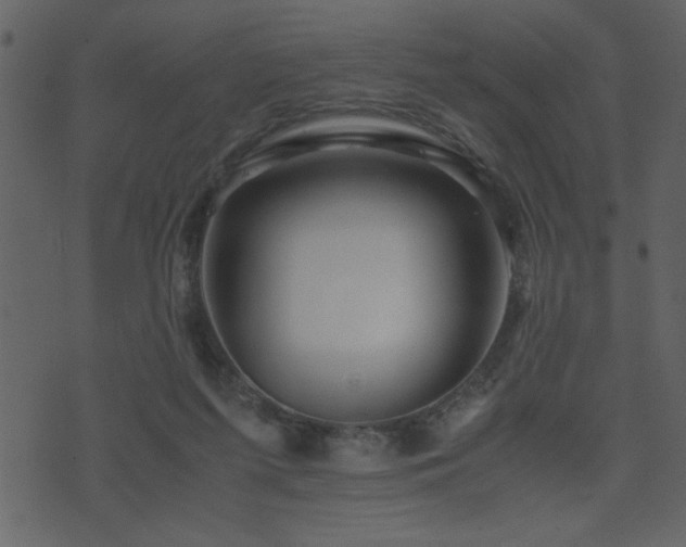 X0000071760215200606301138