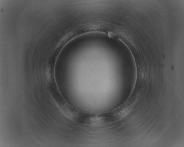 X0000071760216200606301138