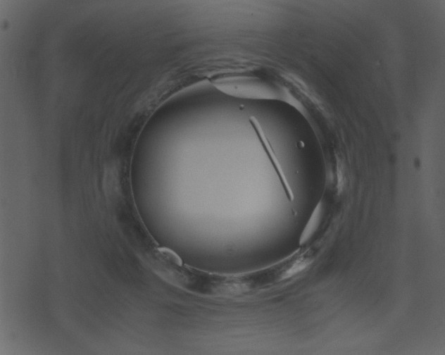 X0000071760217200606301138