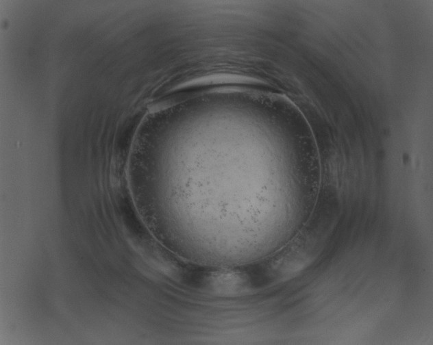 X0000071760218200606301138