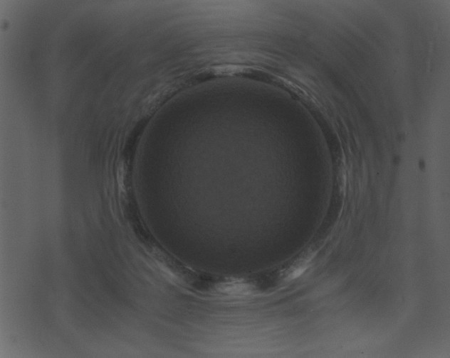 X0000071760219200606301138