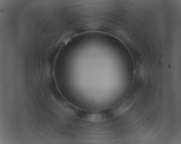 X0000071760220200606301138