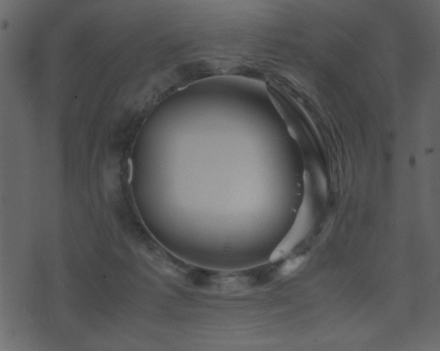 X0000071760221200606301138