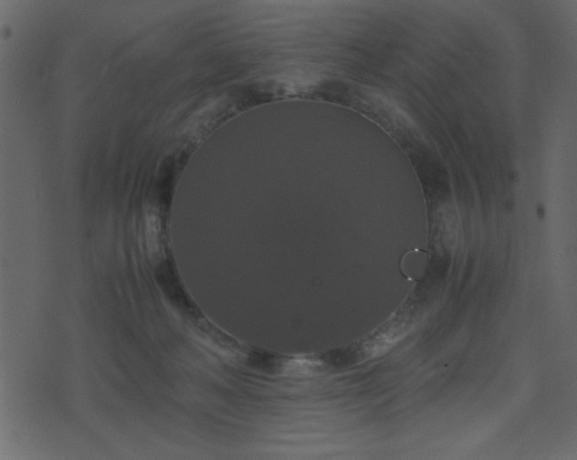 X0000071760222200606301138