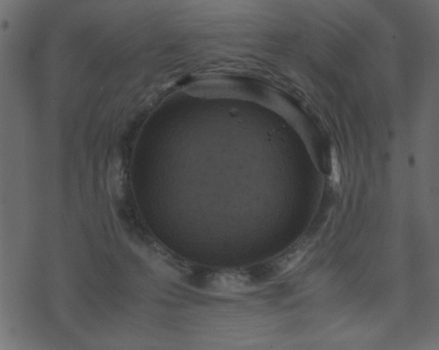 X0000071760223200606301138