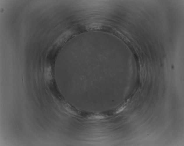 X0000071760224200606301138