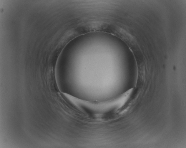 X0000071760225200606301138