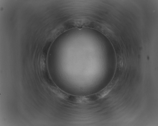 X0000071760226200606301138