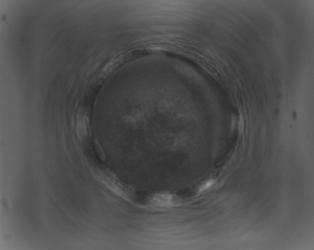 X0000071760227200606301138