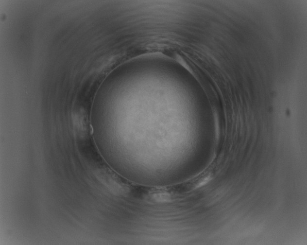 X0000071760228200606301138