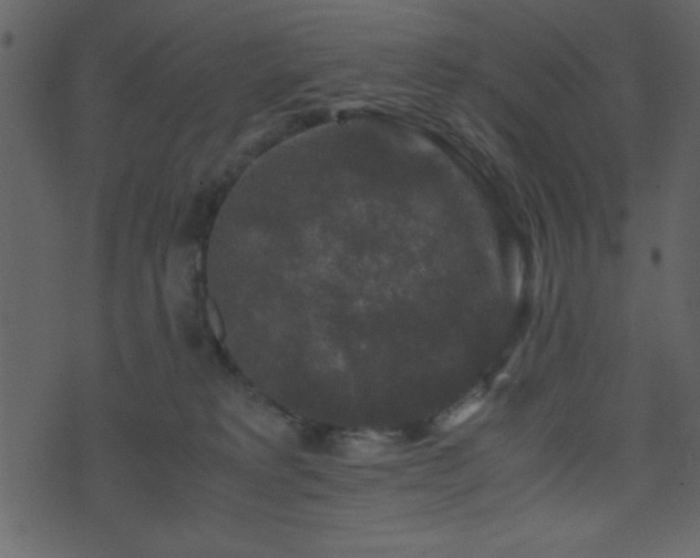 X0000071760229200606301138