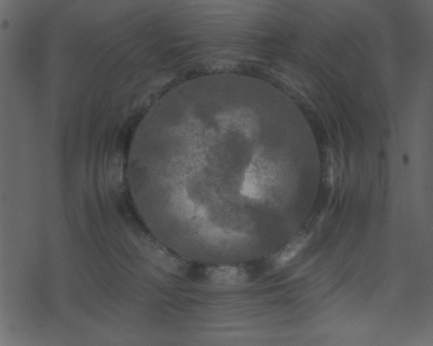 X0000071760230200606301138