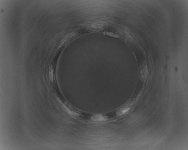 X0000071760231200606301138