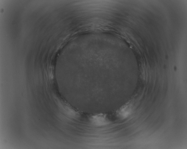 X0000071760232200606301138