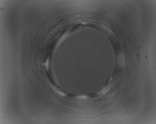 X0000071760233200606301138