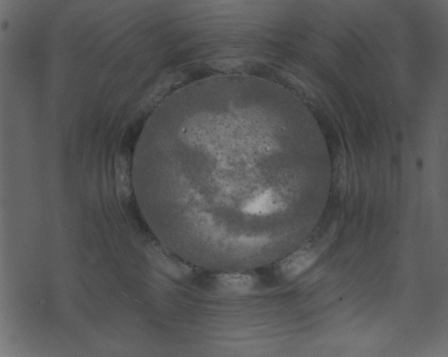 X0000071760234200606301138