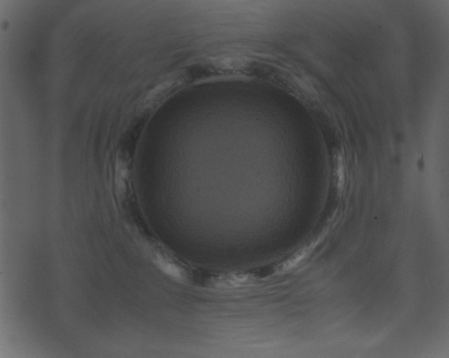 X0000071760235200606301138