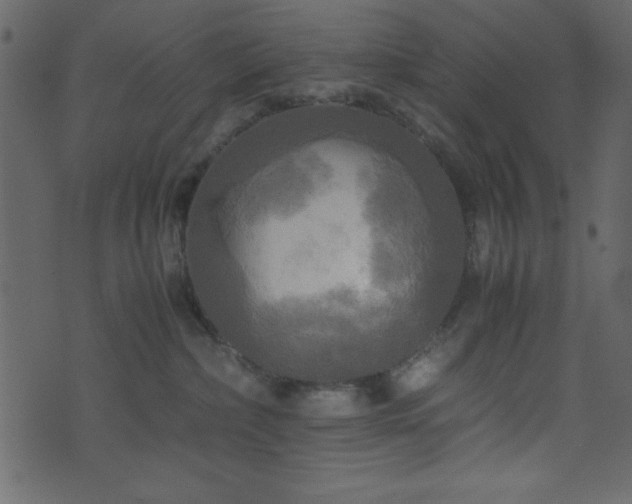 X0000071760236200606301138