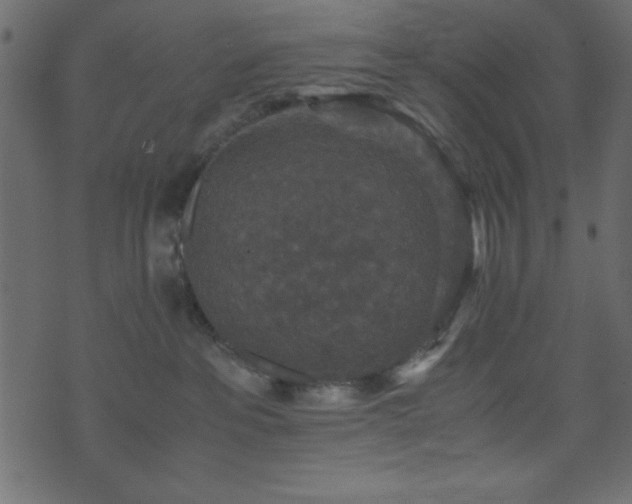 X0000071760237200606301138