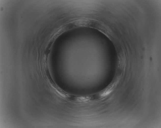 X0000071760239200606301138