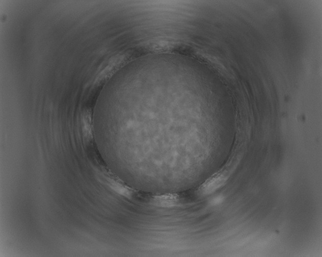 X0000071760240200606301138