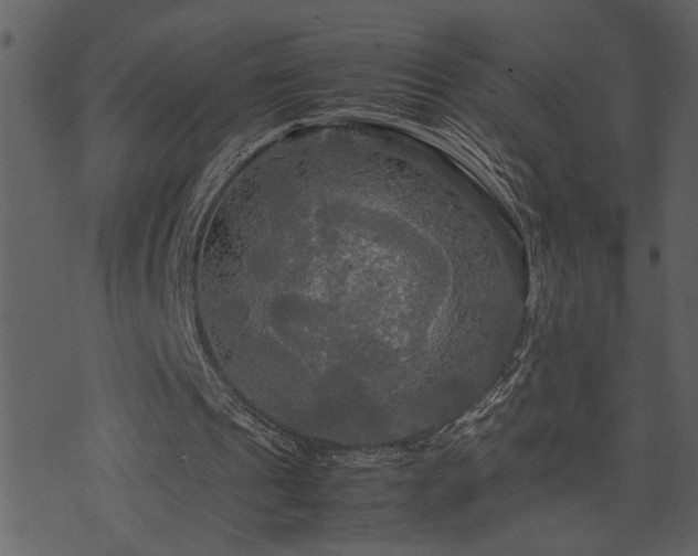 X0000071760241200606301137