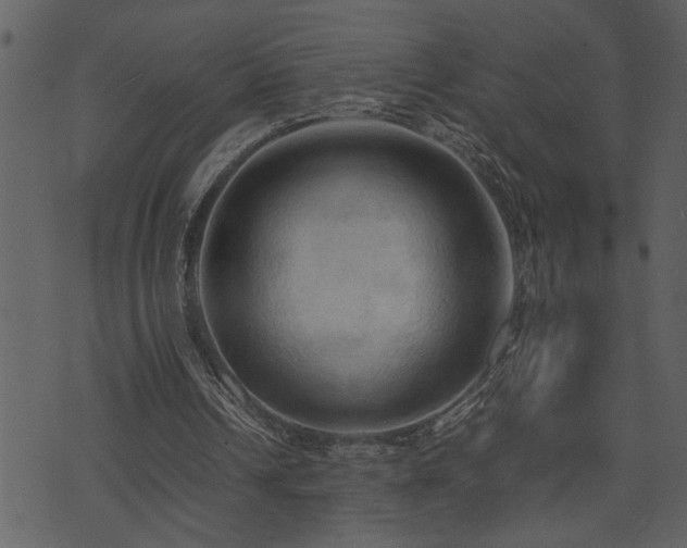 X0000071760242200606301137