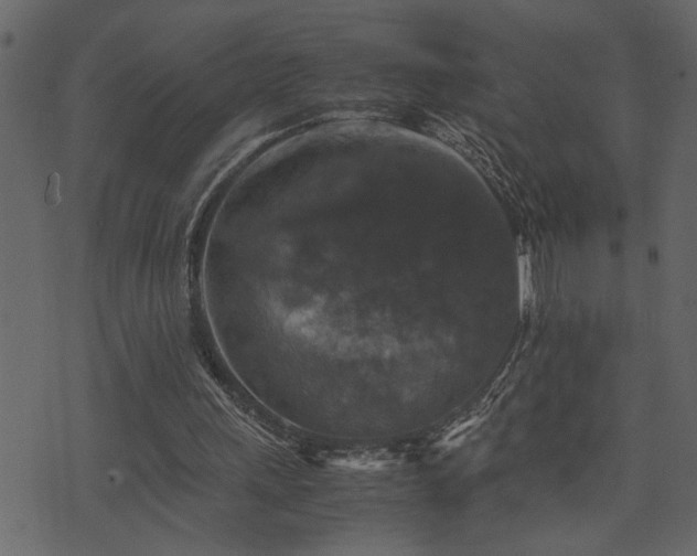 X0000071760243200606301137