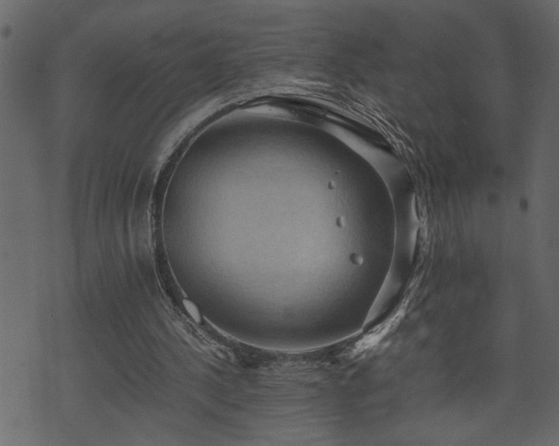 X0000071760244200606301137