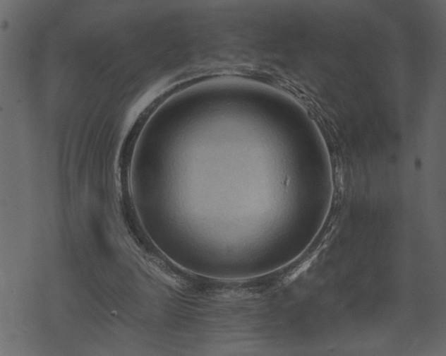 X0000071760246200606301137