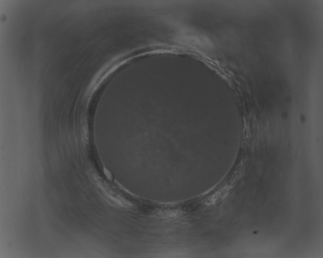 X0000071760247200606301137