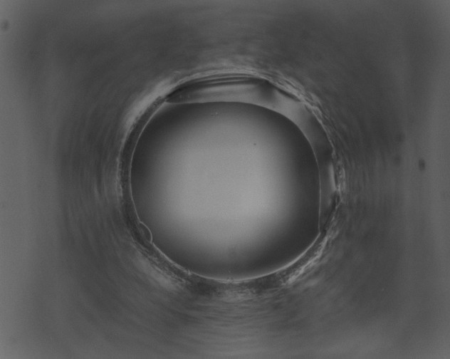 X0000071760248200606301137