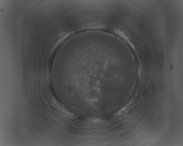 X0000071760249200606301137