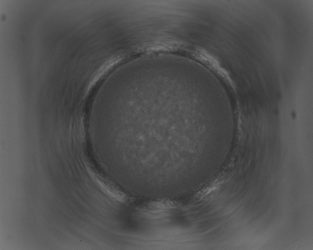 X0000071760250200606301137