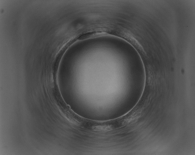 X0000071760251200606301137