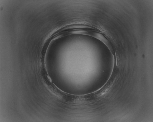 X0000071760252200606301137