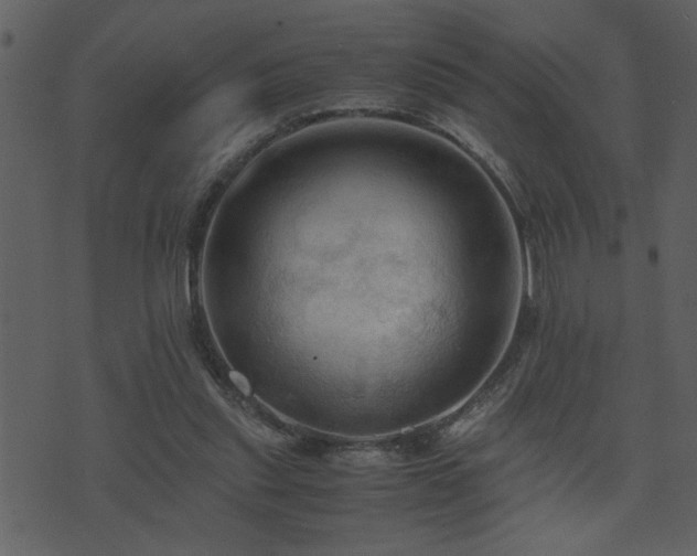 X0000071760253200606301137