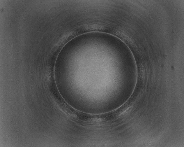 X0000071760255200606301137