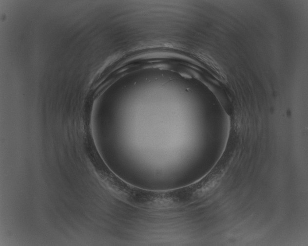 X0000071760256200606301137