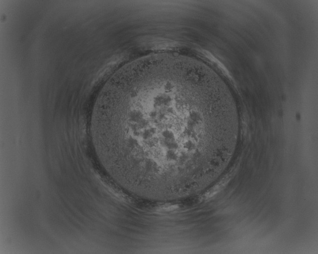 X0000071760257200606301137