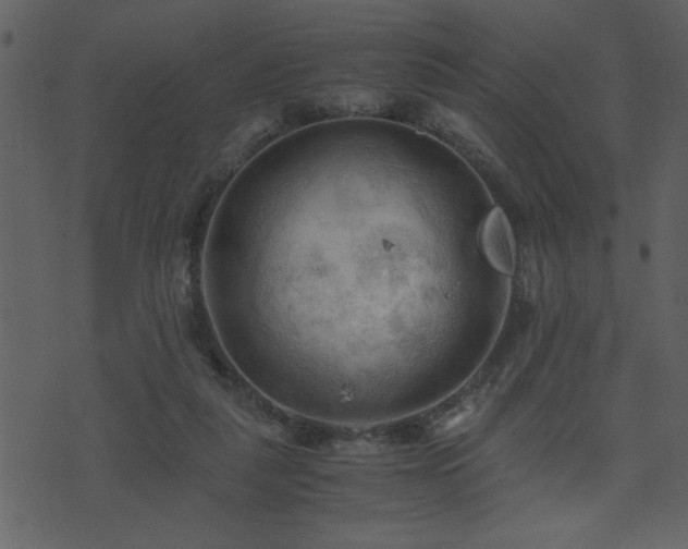 X0000071760259200606301137